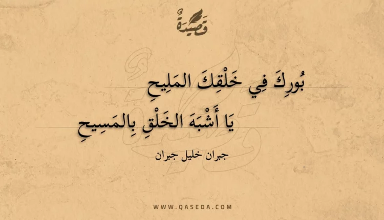 قصيدة بورك في خلقك المليح