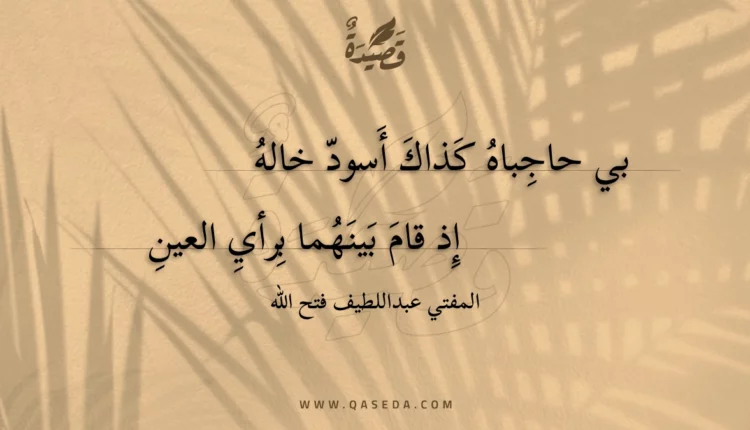 قصيدة بي حاجباه كذاك أسود خاله