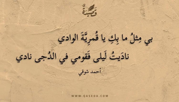 قصيدة بي مثل ما بك يا قمرية الوادي