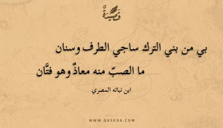 قصيدة بي من بني الترك ساجي الطرف وسنان