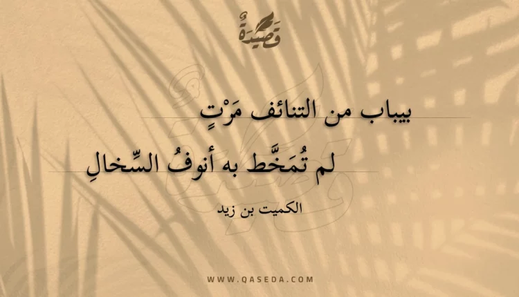 قصيدة بيباب من التنائف مرت