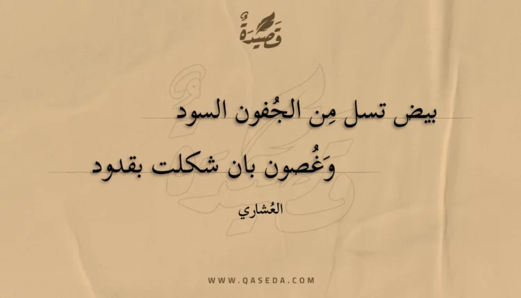 قصيدة بيض تسل من الجفون السود