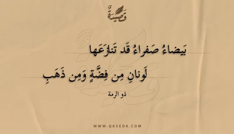 قصيدة بيضاء صفراء قد تنازعها