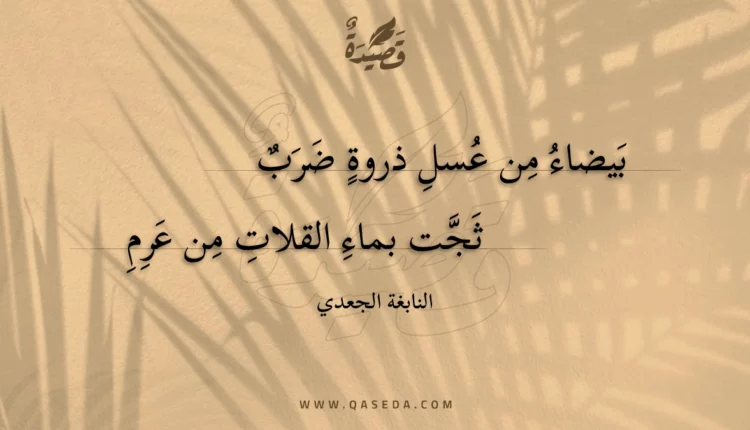 قصيدة بيضاء من عسل ذروة ضرب