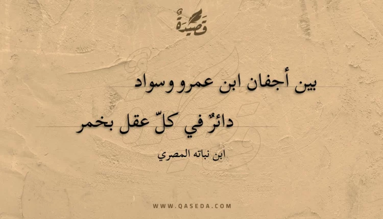 قصيدة بين أجفان ابن عمرو وسواد