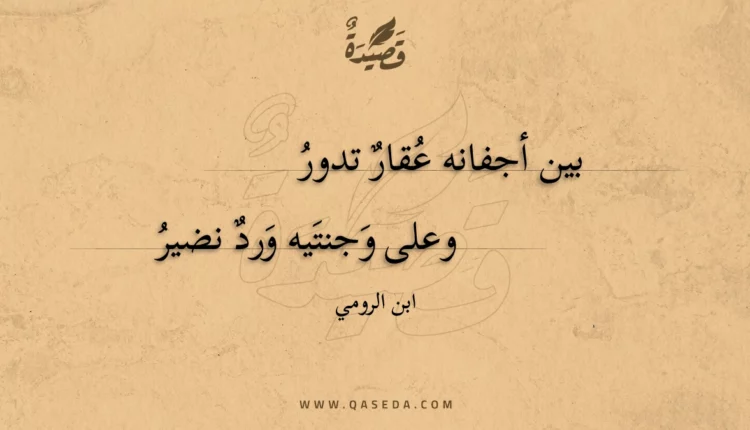 قصيدة بين أجفانه عقار تدور