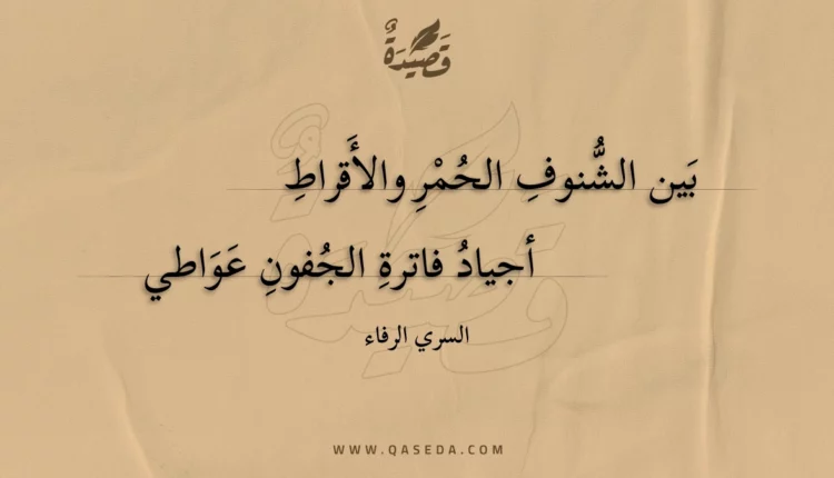 قصيدة بين الشنوف الحمر والأقراط