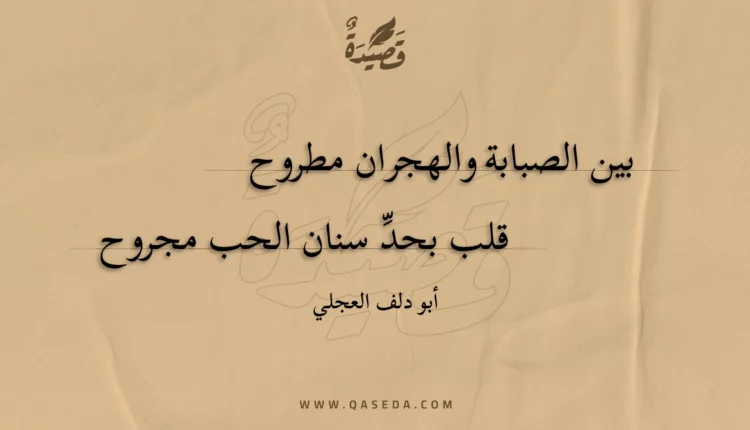 قصيدة بين الصبابة والهجران مطروح