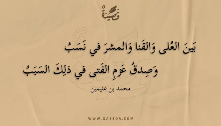قصيدة بين العلى والقنا والمشر في نسب