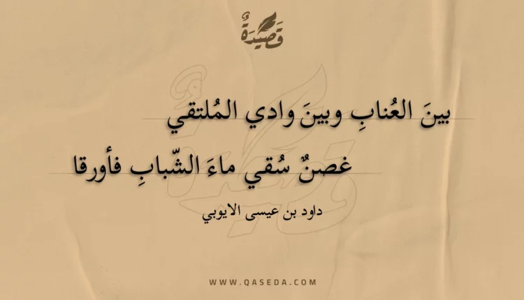قصيدة بين العناب وبين وادي الملتقي