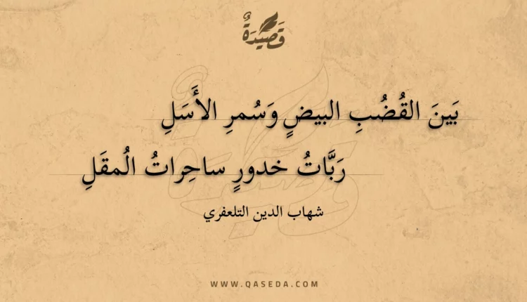 قصيدة بين القضب البيض وسمر الأسل