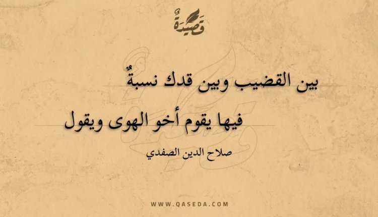 قصيدة بين القضيب وبين قدك نسبة