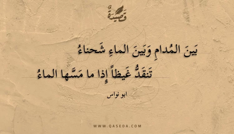 قصيدة بين المدام وبين الماء شحناء