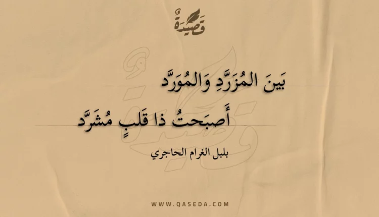 قصيدة بين المزرد والمورد