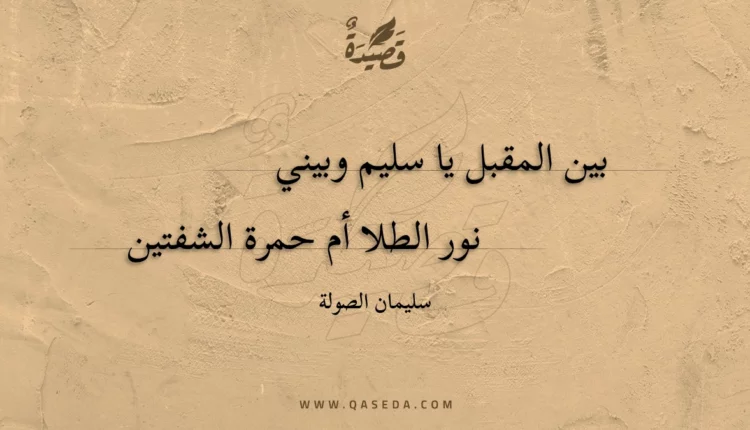 قصيدة بين المقبل يا سليم وبيني