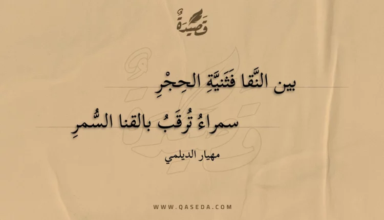 قصيدة بين النقا فثنية الحجر