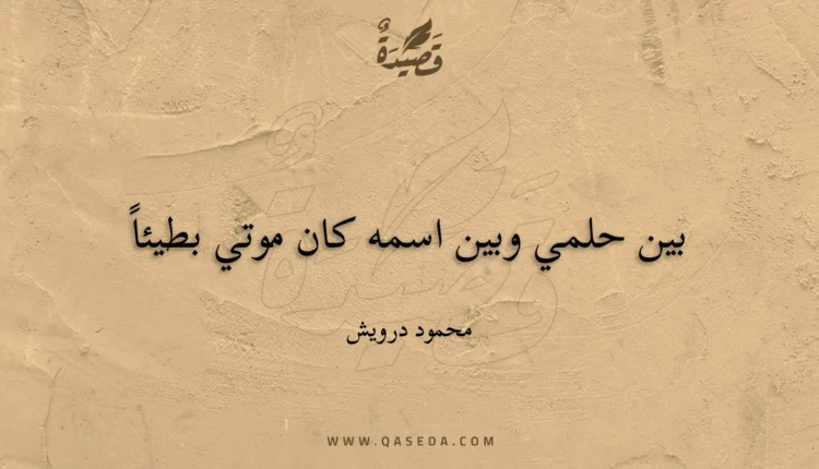 قصيدة بين حلمي وبين اسمه كان موتي بطيئاً