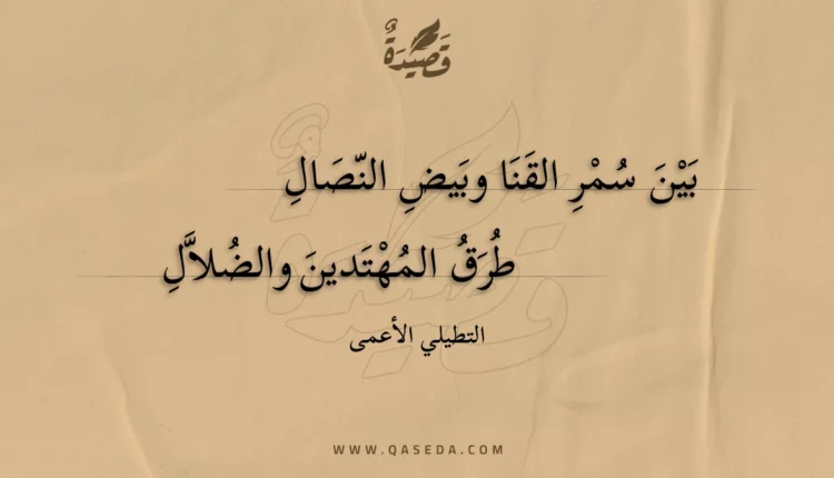 قصيدة بين سمر القنا وبيض النصال