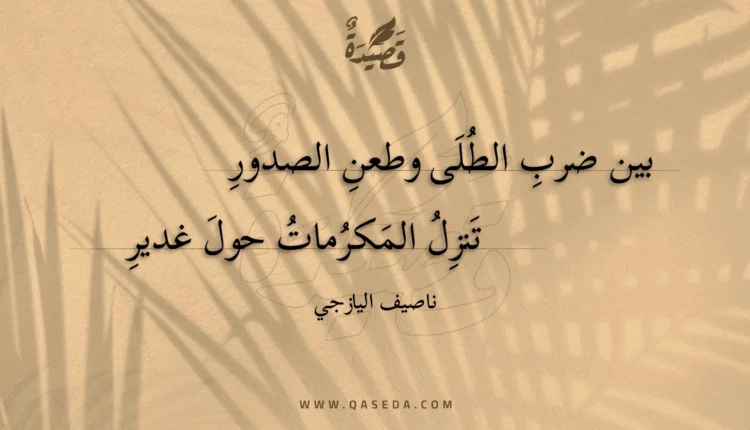 قصيدة بين ضرب الطلى وطعن الصدور