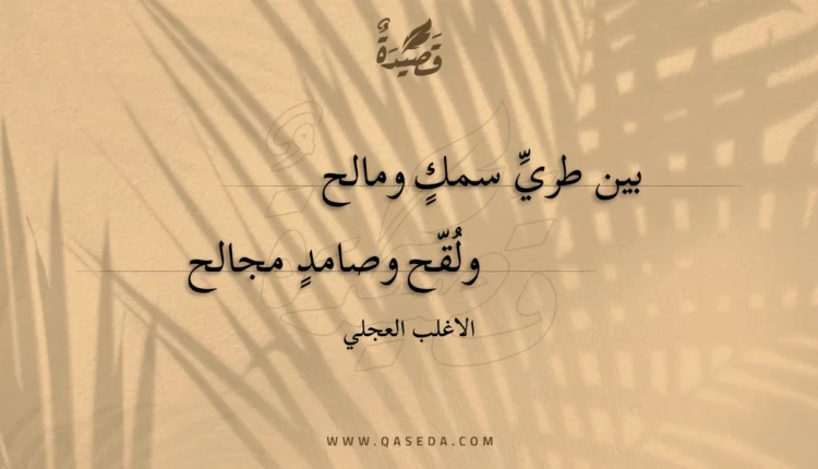 قصيدة بين طري سمك ومالح