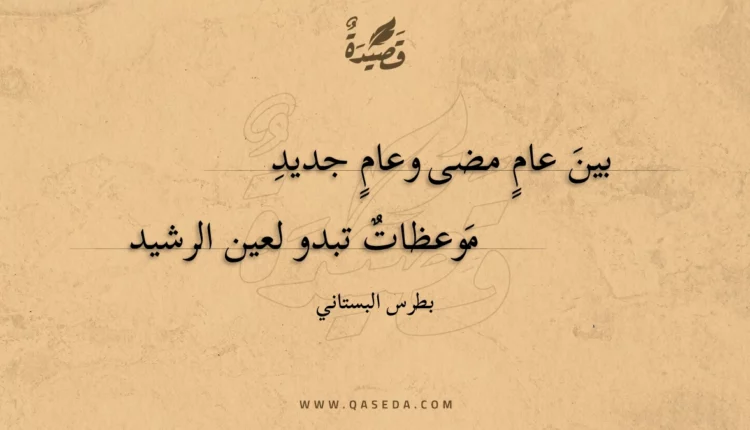 قصيدة بين عام مضى وعام جديد