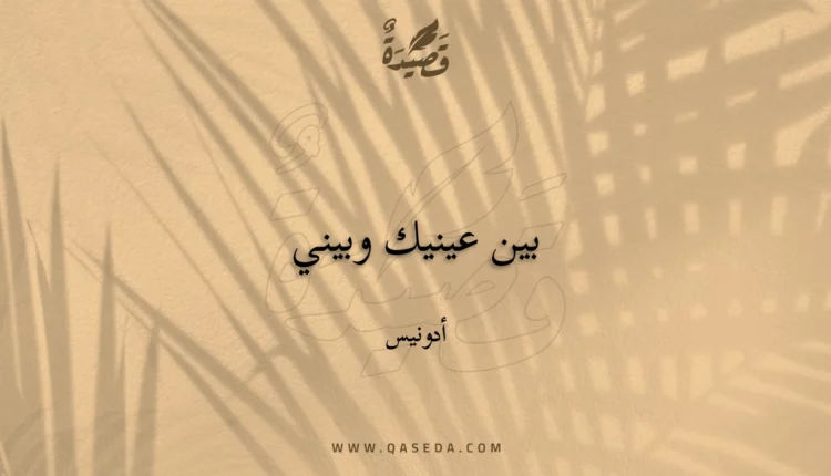 قصيدة بين عينيك وبيني