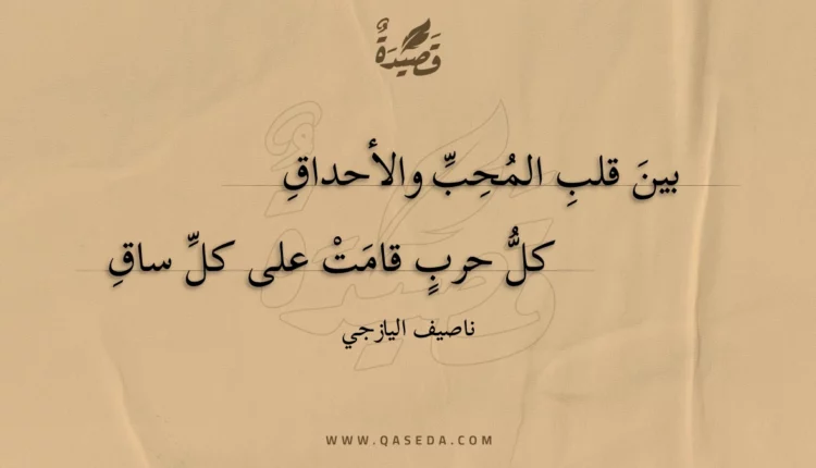 قصيدة بين قلب المحب والأحداق