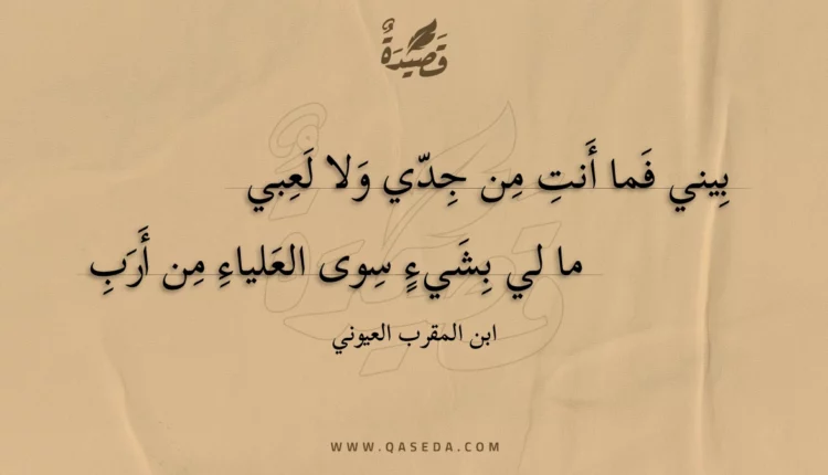 قصيدة بيني فما أنت من جدي ولا لعبي