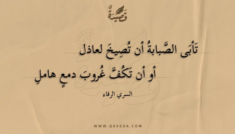 قصيدة تأبى الصبابة أن تصيخ لعاذل