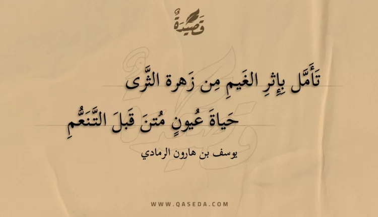 قصيدة تأمل بإثر الغيم من زهرة الثرى
