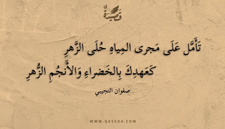 قصيدة تأمل على مجرى المياه حلى الزهر