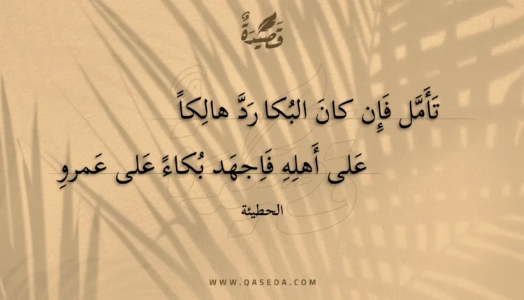 قصيدة تأمل فإن كان البكا رد هالكا
