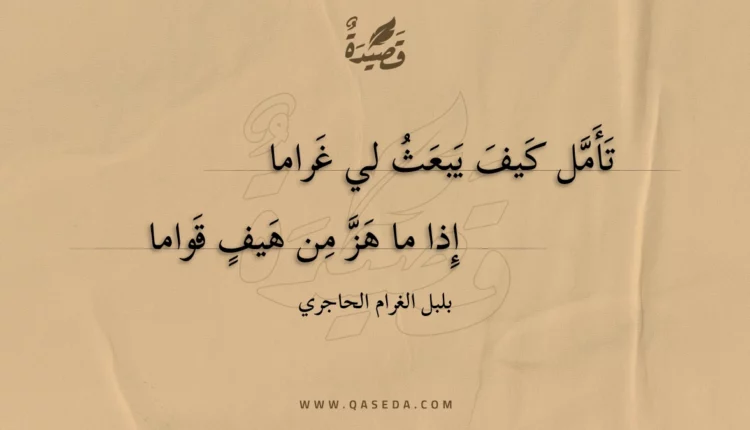 قصيدة تأمل كيف يبعث لي غراما