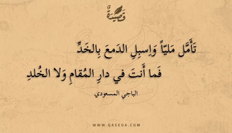 قصيدة تأمل مليا واسبل الدمع بالخد
