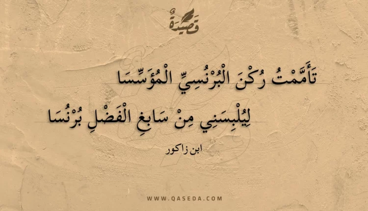 قصيدة تأممت ركن البرنسي المؤسسا