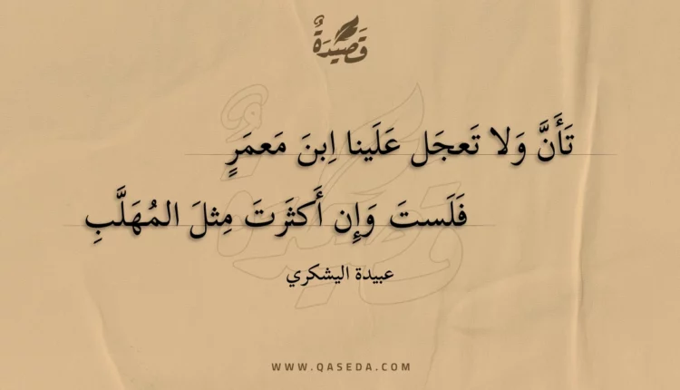 قصيدة تأن ولا تعجل علينا ابن معمر