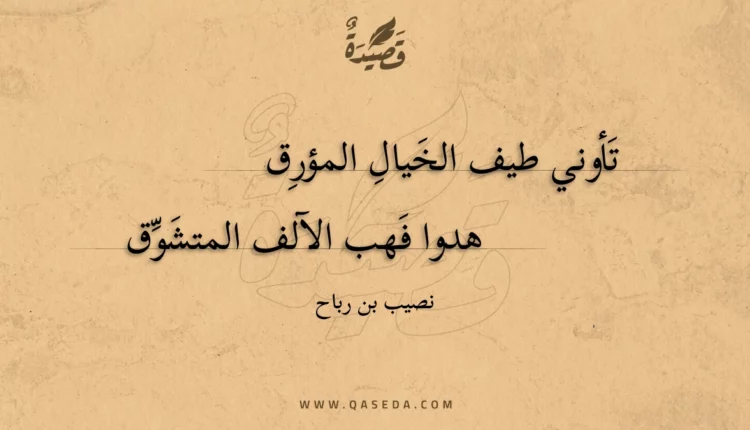 قصيدة تأوني طيف الخيال المؤرق