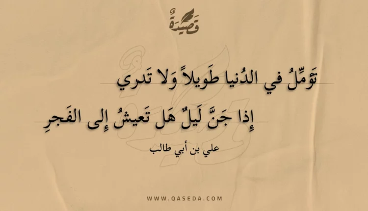 قصيدة تؤمل في الدنيا طويلا ولا تدري
