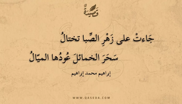 قصيدة تاج الحب