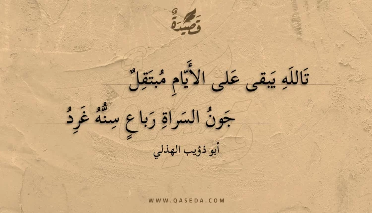 قصيدة تالله يبقى على الأيام مبتقل