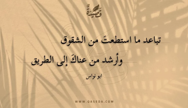 قصيدة تباعد ما استطعت من الشقوق