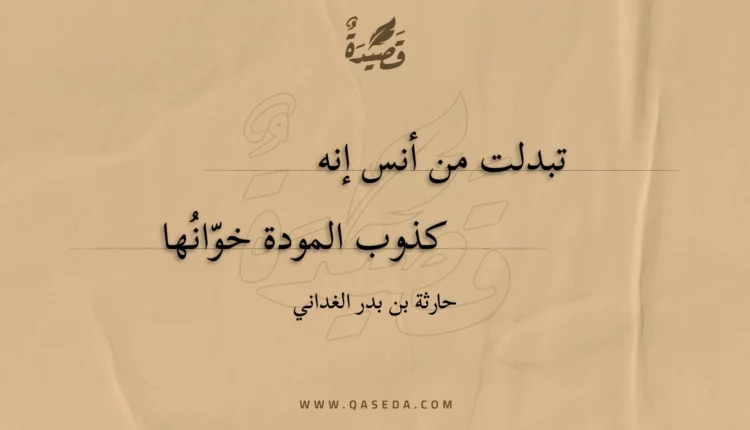 قصيدة تبدلت من أنس إنه