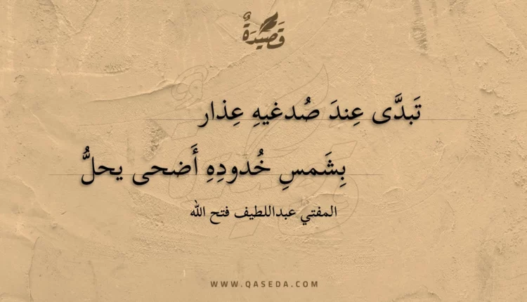 قصيدة تبدى عند صدغيه عذار