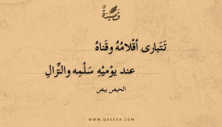 قصيدة تتبارى أقلامه وقناه