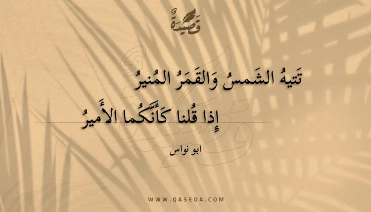 قصيدة تتيه الشمس والقمر المنير
