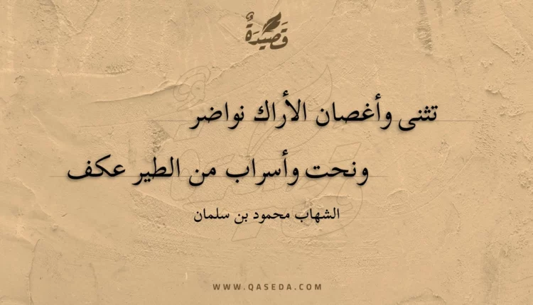قصيدة تثنى وأغصان الأراك نواضر