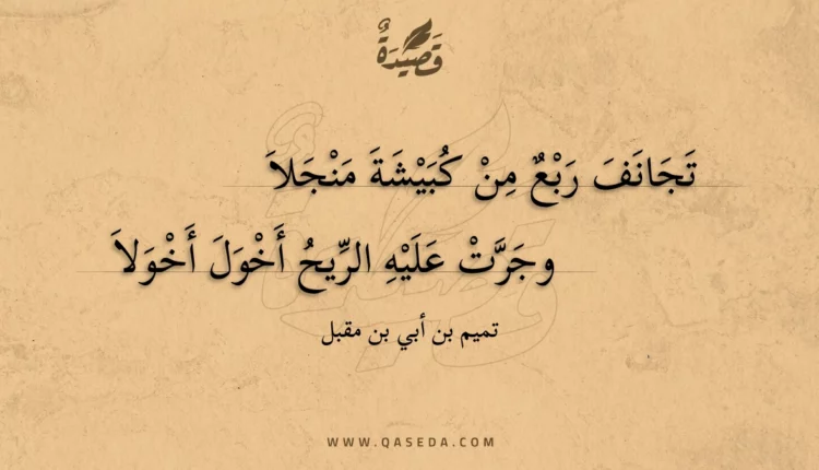 قصيدة تجانف ربع من كبيشة منجلا