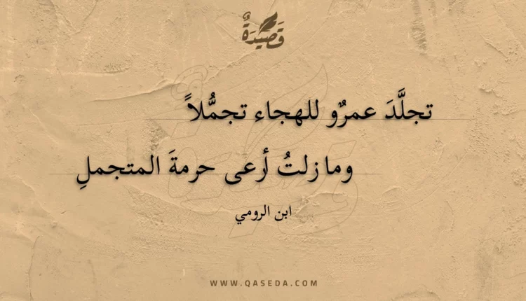 قصيدة تجلد عمرو للهجاء تجملا