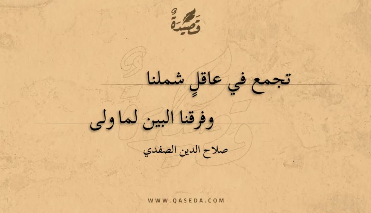 قصيدة تجمع في عاقل شملنا