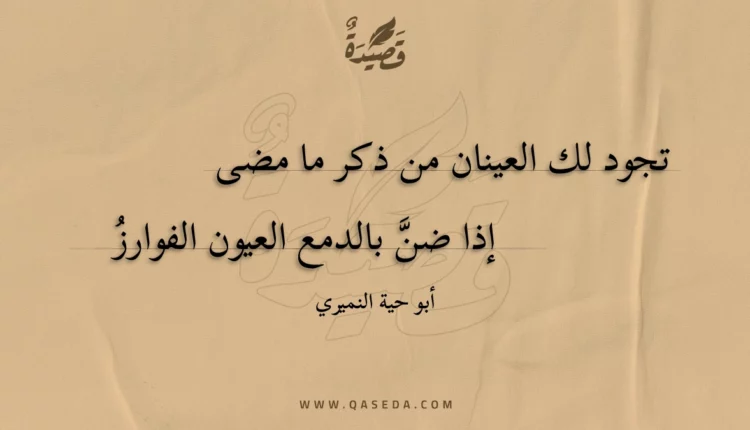 قصيدة تجود لك العينان من ذكر ما مضى